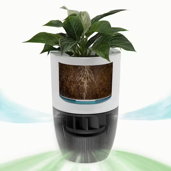 Dupray Bloom air purifier