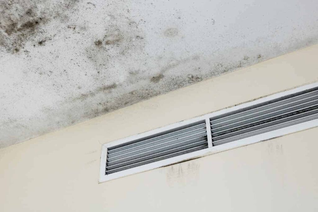 Moisture in Vents or Air Ducts