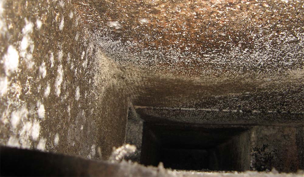mold in vent